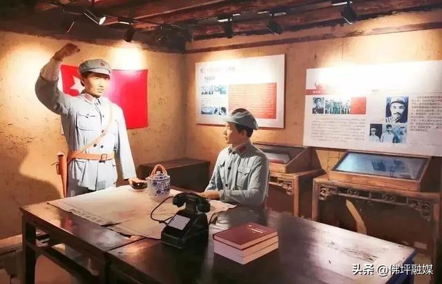 🥕解锁“疯狂动物城”佛坪分城🦊