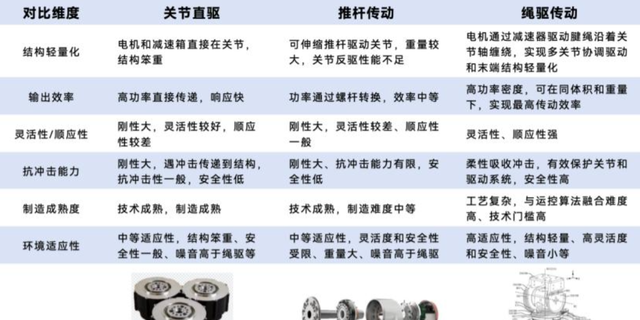 全球首个长肌腱AI机器人量产！Nature盛赞的中国方案惊艳IROS现场