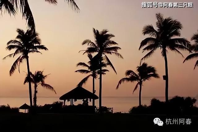 三亚晨曦里的美丽故事……