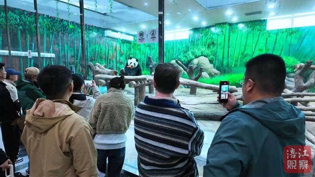 外籍自媒体：绵阳的隐藏技能是“诗与远方”！