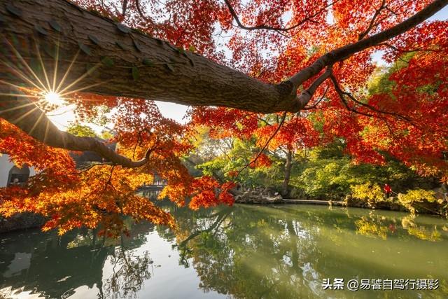 香山红叶摄影进阶：必须掌握这6个实战技巧，张张出大片成顶流