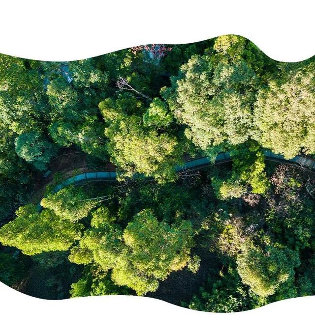 “趣龙岗”打卡新地标！全城玩咖速集结→