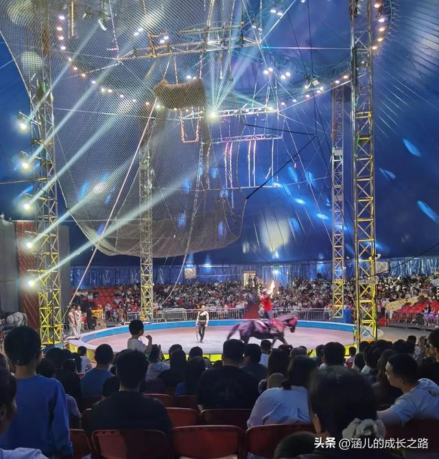 最新天津极地海洋馆一日游攻略——亲测实用!所有演出都可看完!