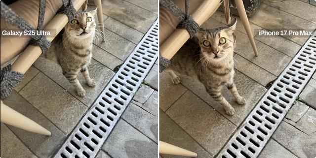 iPhone 17 Pro Max 对比 Galaxy S25 Ultra – 一天使用相机和电池测试！