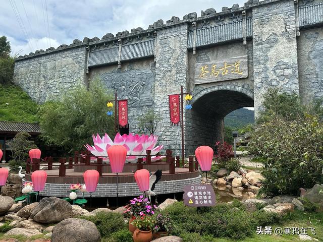 无暑之地（4）临沧 普洱