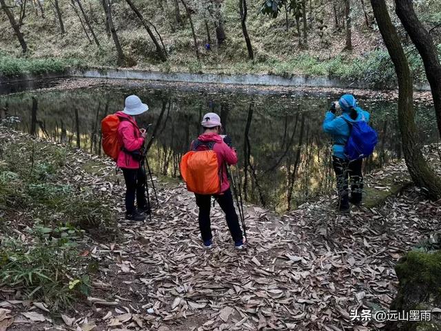 阳光明媚的冬日里，我们爬山去，逛陡坡村、看冬樱花，做晴朗的事