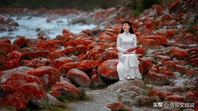 春分就想找个有花有茶的地方？雅安，一趟把春天喝进肚子里！