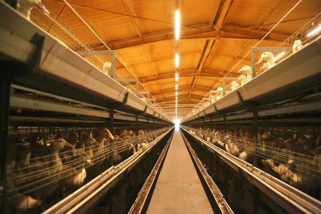 这一次，不得不去潢川了！