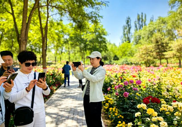 兰州植物园封神！春日花海+湖光山色，本地人都私藏了