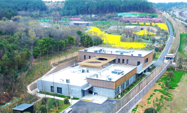 中国大熊猫保护研究中心绵阳基地试运行 13只大熊猫入住新家