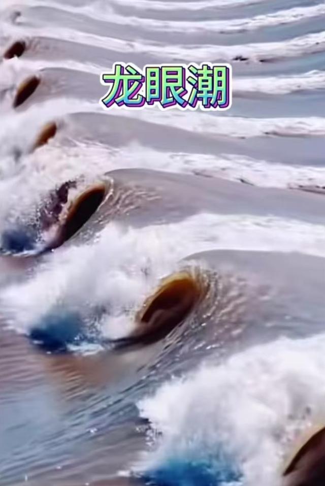 观钱塘江大潮
