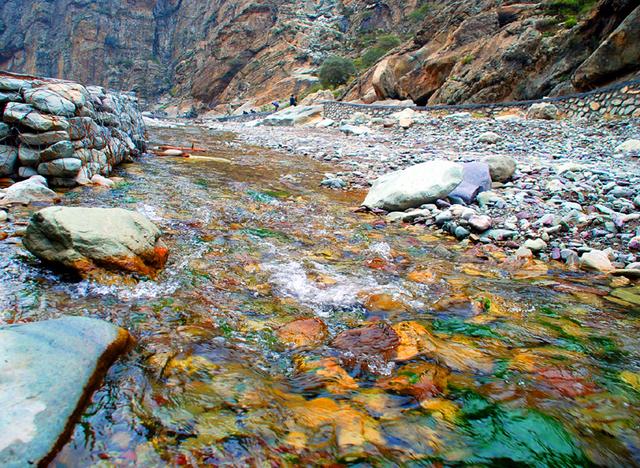 宁夏旅游：从沙漠绿洲到贺兰山岩画揽胜（图）