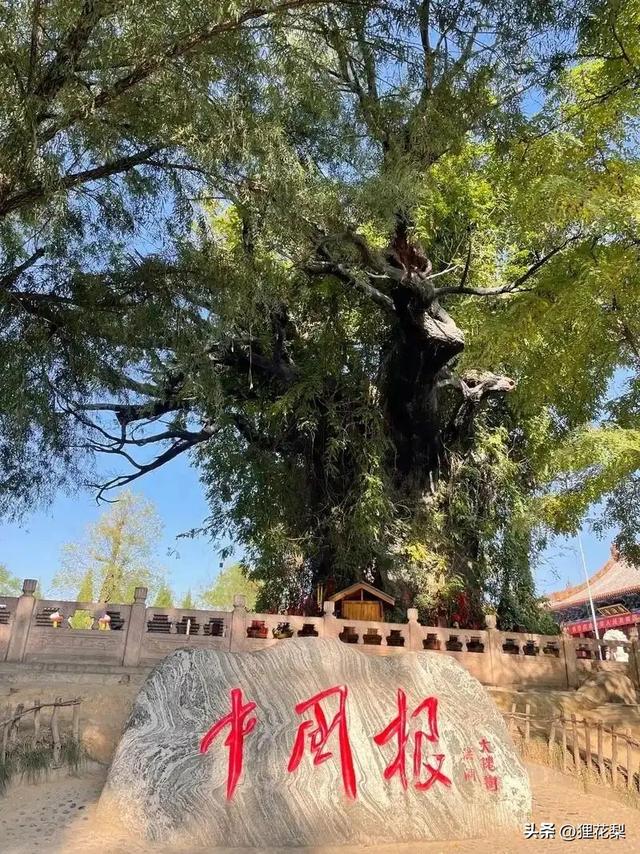 山西最特别的城市！是中国的“厕所之都”！厕所不输五星大酒店！