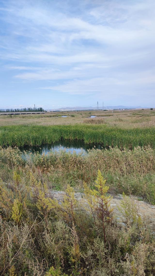 包头城南靠近黄河的昭君湖，也叫小白河景区，黄河浩渺，湖平如镜