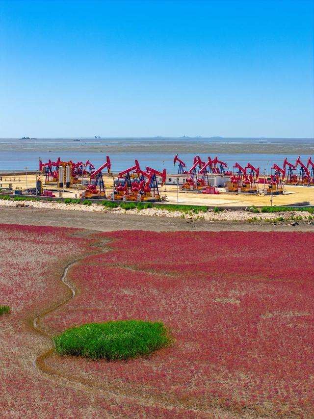 辽宁盘锦美丽的红色海岸线
