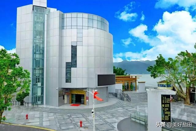 别抢迪士尼了！盐田“海洋非遗”研学开闸，名额秒没，手慢无！