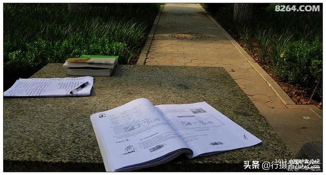 山东行游影记（16）—济南山东大学（三）