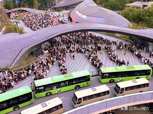 九寨沟强悍的调度操作火了！4万人塞进“沟”里，居然不堵车？
