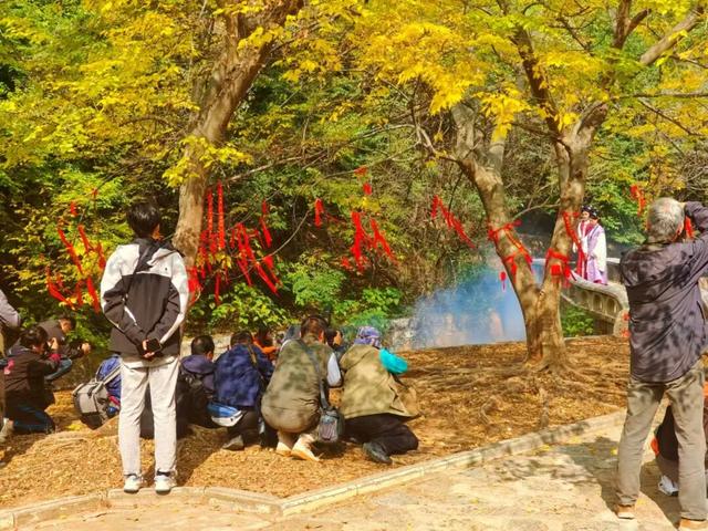 【醉美青檀秋色正当时】水彩画卷徐徐展开，只等您来！
