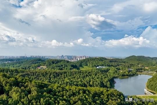 免费营地！福建南平市自驾游免费露营地，主要景点及特色美食