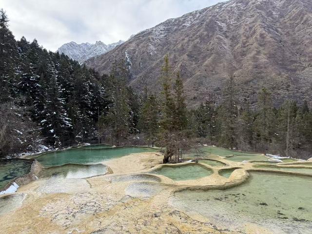 一泡尿“毁”了全家！男童尿进黄龙彩池，景区硬气通报：永久禁入