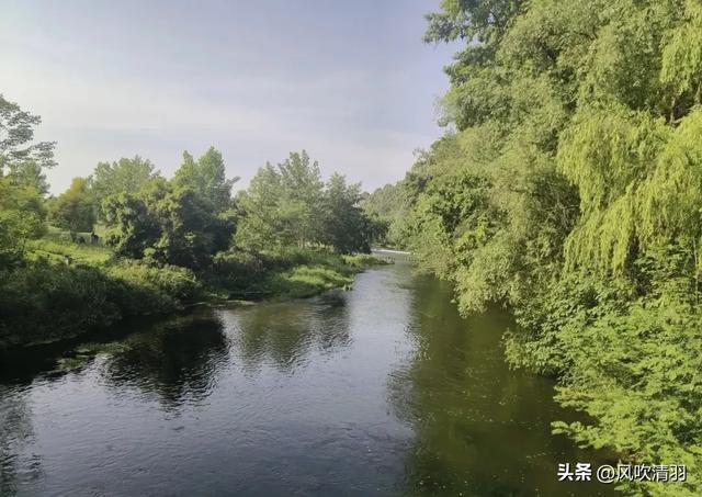 成都一个低调4A级森林公园,有240多年历史,都市人的“后花园”
