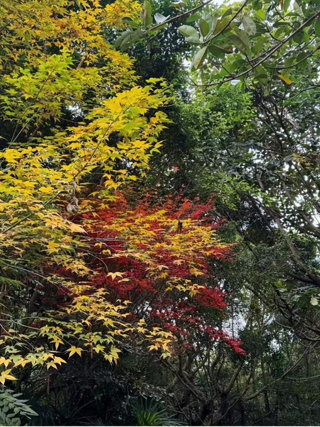 爬山人的旅行终点，是有126万座山的贵州？