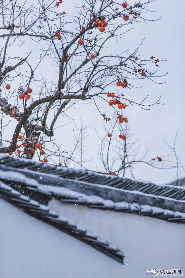 好多人在拍！苏州到底有谁在啊