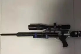 秃鹰介绍图片