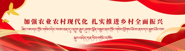 樟木口岸入境游持续火爆