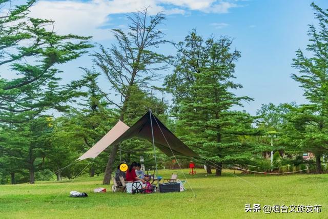 【乐游烟台】高性价比！烟台被严重低估的神仙遛娃地