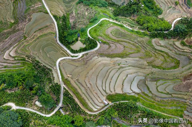海南五指山：夏日牙胡梯田