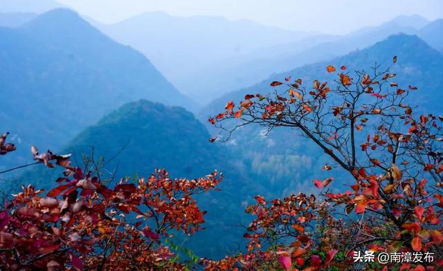 初冬“调色盘”已上线！古林坪红叶进入最佳观赏期，快来打卡！