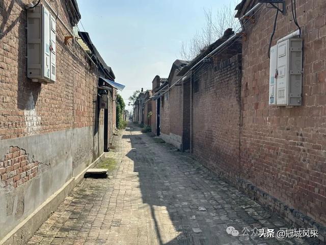 冠县乡韵·兰沃乡大柳邵村