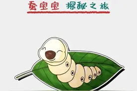 小时候的回忆，现在的大科学 春蚕养成记🐛见证生命的奇迹图片