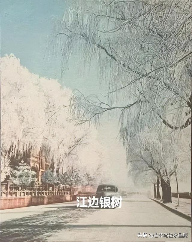 一组12枚明信片，记录了1960年时的吉林市城市风光