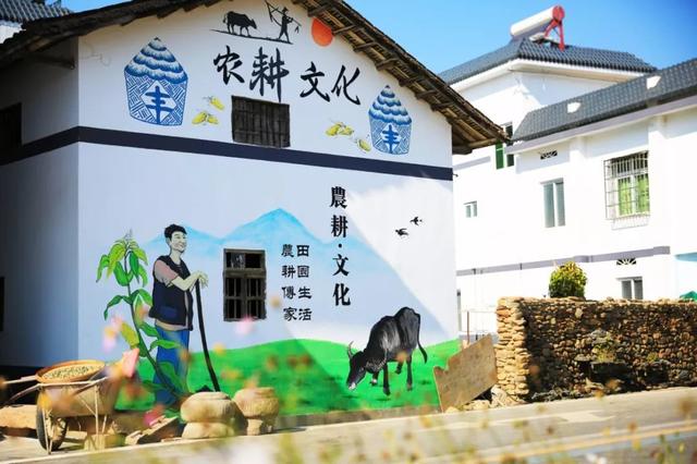 十五运会来韶关怎么玩？别愁！这3条“封神”路线让你一次打卡文化、野趣与田园，爽翻！