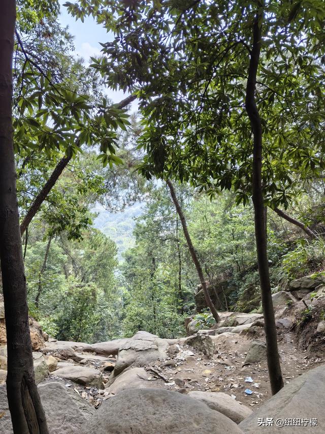 爬山，要量力而行，安全第一，爬歌乐山911更需如此