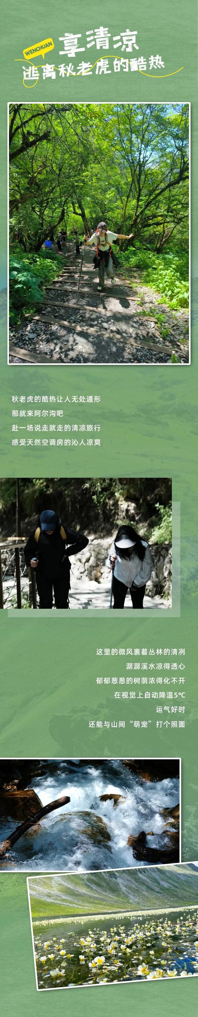 站在阿尔沟的山顶，每一阵风吹过，你都是顶流~