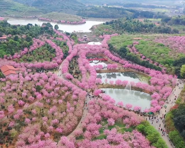衡阳常宁市一日游旅游攻略：十大必去景点+好玩的地方