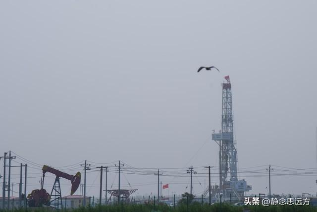 河南人去了东营和滨州，直言不讳：东营人和滨州人气质截然不同！
