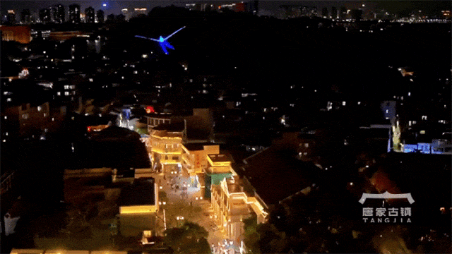 跨年仪式拉满！珠海共乐灯会早鸟票12月19日开抢，闯进山海经幻境