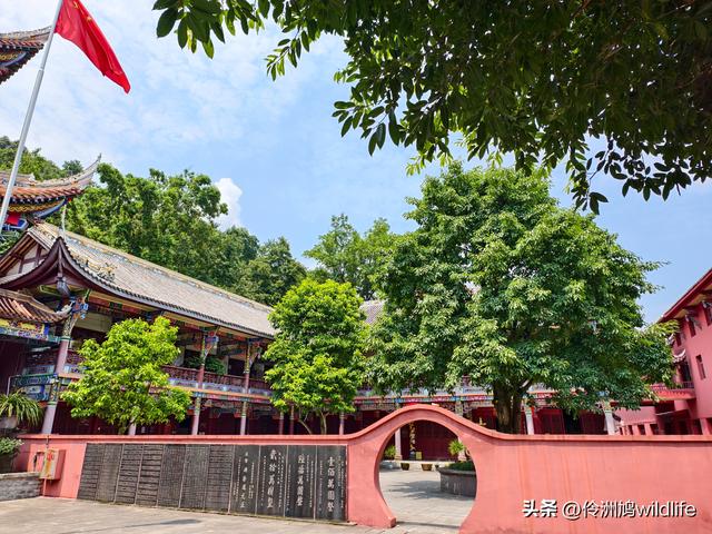 成都徒步（68）·彭州篇⑮佛山古寺&镇国寺宝塔