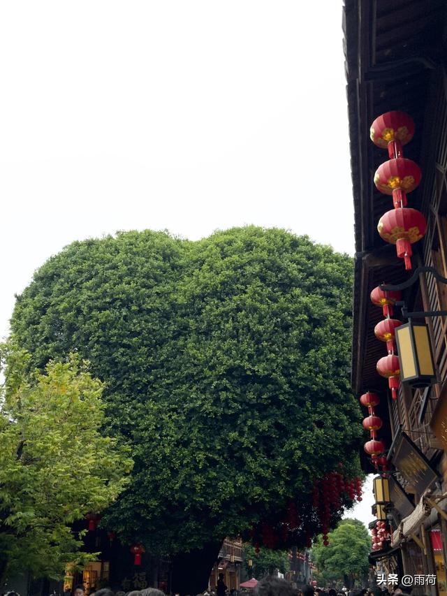 我是上海人，去了趟福建福州，不吹不黑，福州比网上评价的还要好