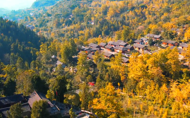 比银杏村静谧！贵州低调千年古村，被誉为“世界银杏之乡”