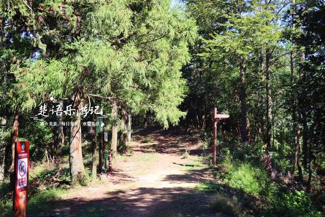 浙江宁波的桃源级森林公园，藏着一条黄金古道，景美但需做好攻略