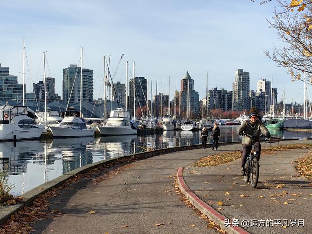 温哥华游记（四）