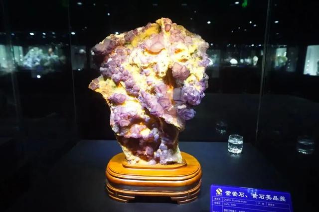 避暑又溜娃！洛阳这些免费景点，赶紧收藏