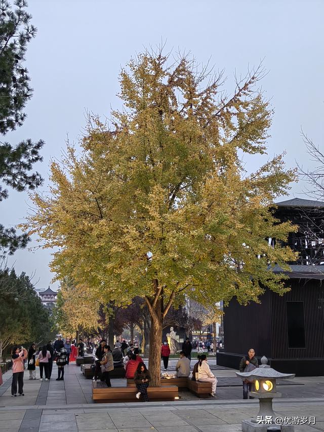 西安大唐不夜城步行街