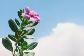 微信上很红的句子，精湛深刻，拿去发朋友圈！图片